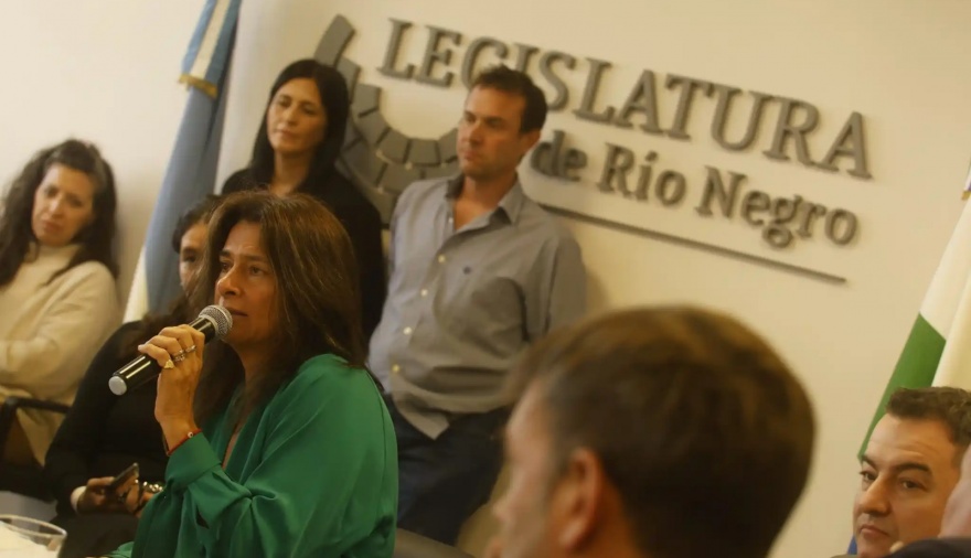 Primer aval legislativo al acuerdo con el consorcio VMOS por el oleoducto Vaca Muerta – Punta Colorada